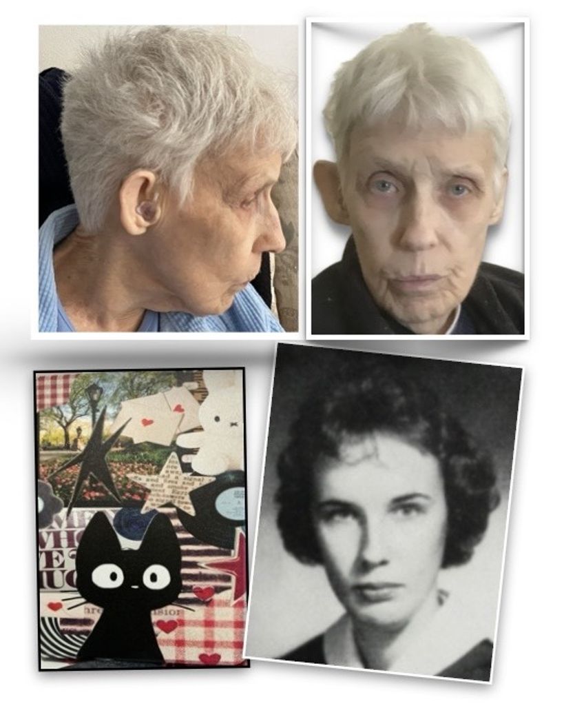 Judith Ellis Andrews Profile Photo