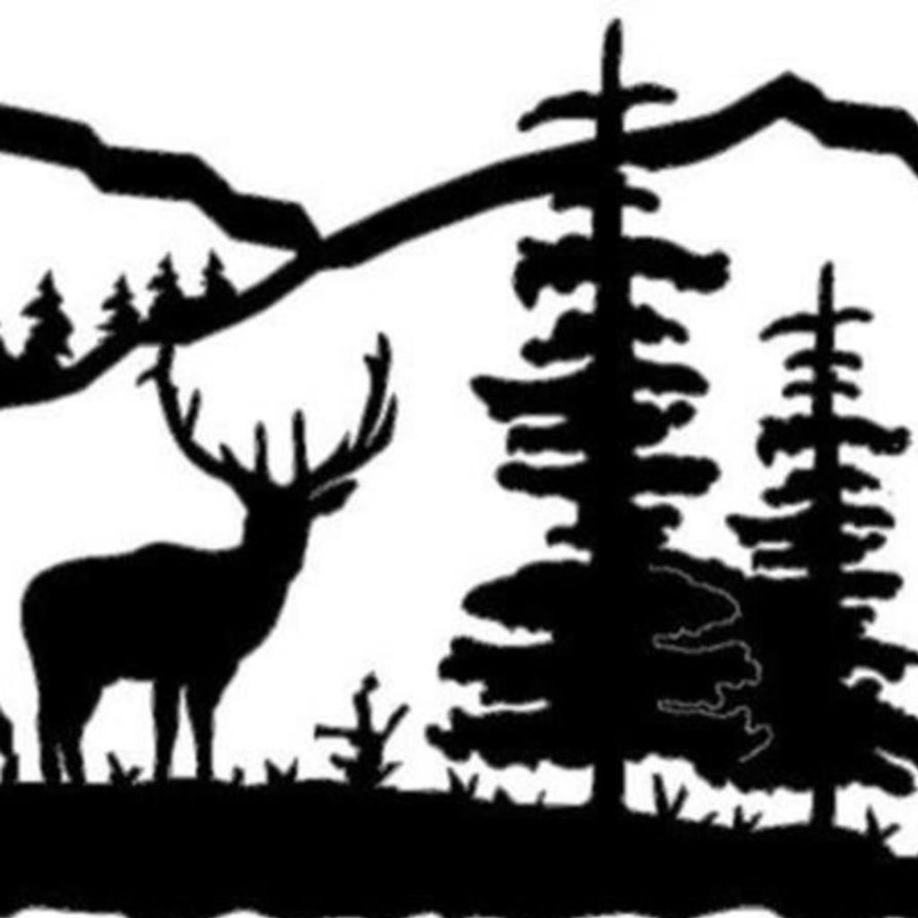 Bruce Oliver Stein Profile Photo