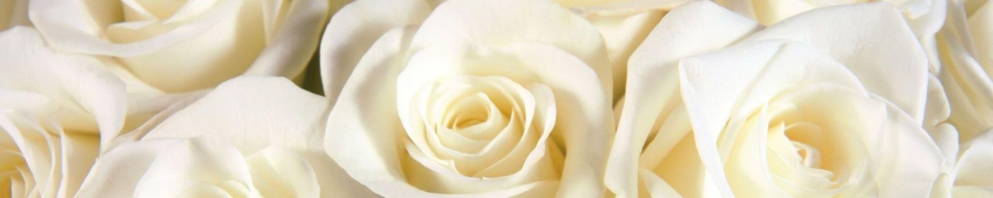 Cover photo for Lois Bushlack's Obituary