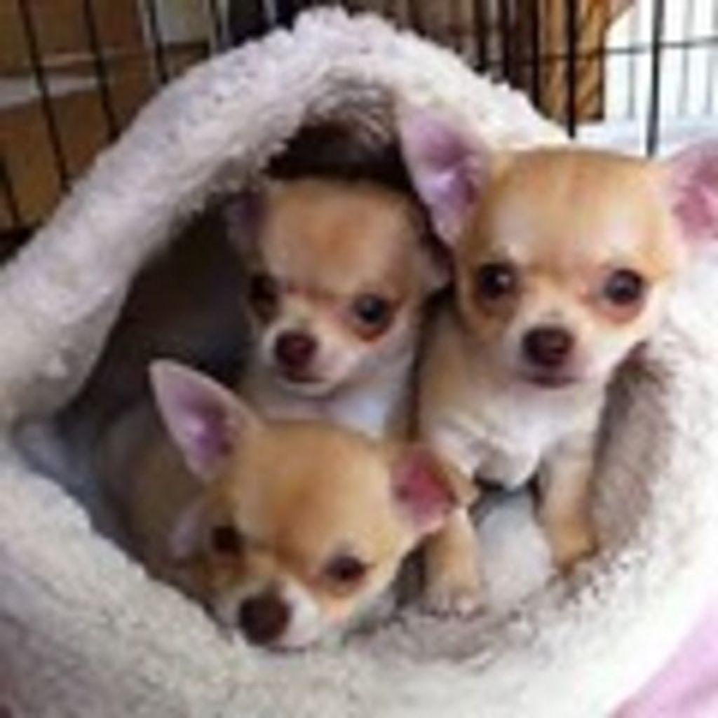 Barbara L. Maberry Profile Photo