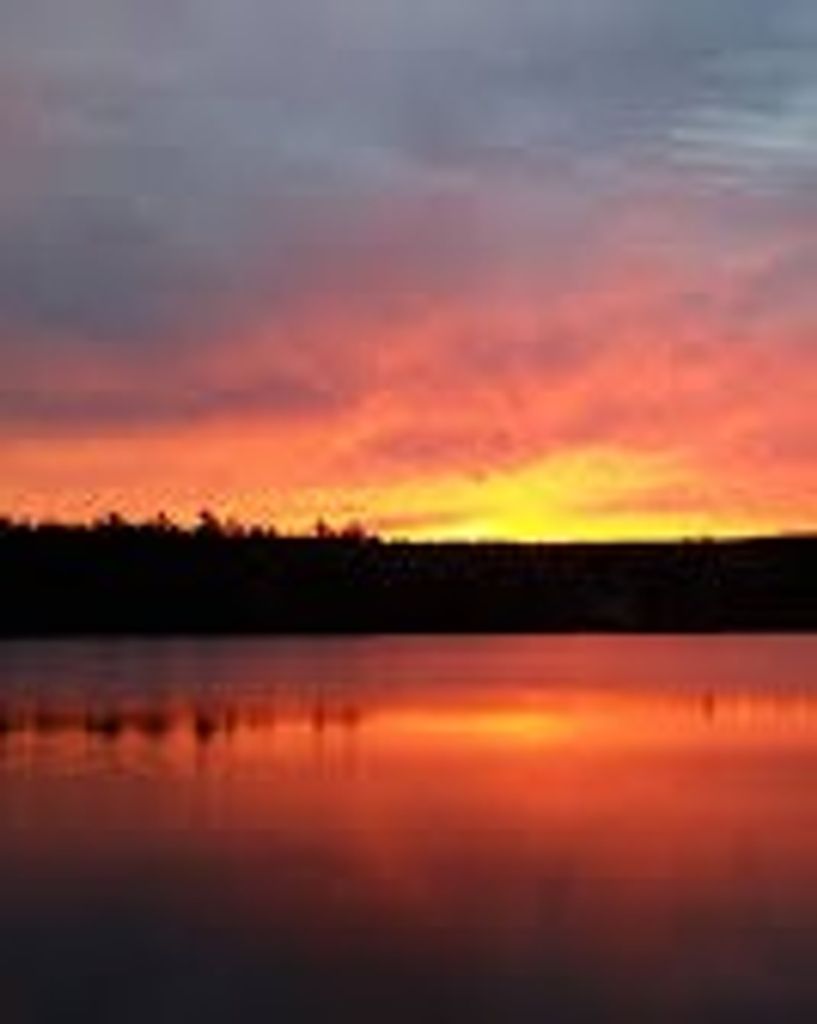 Paul N. Bray Profile Photo