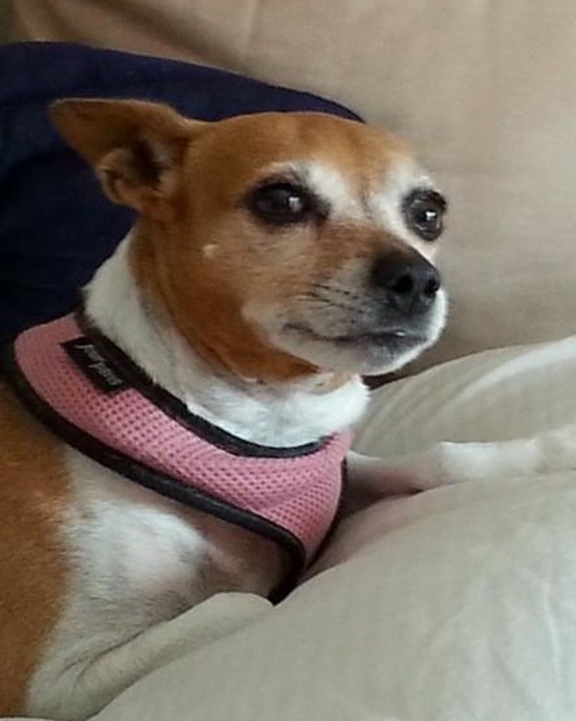 Sookie Logan Profile Photo