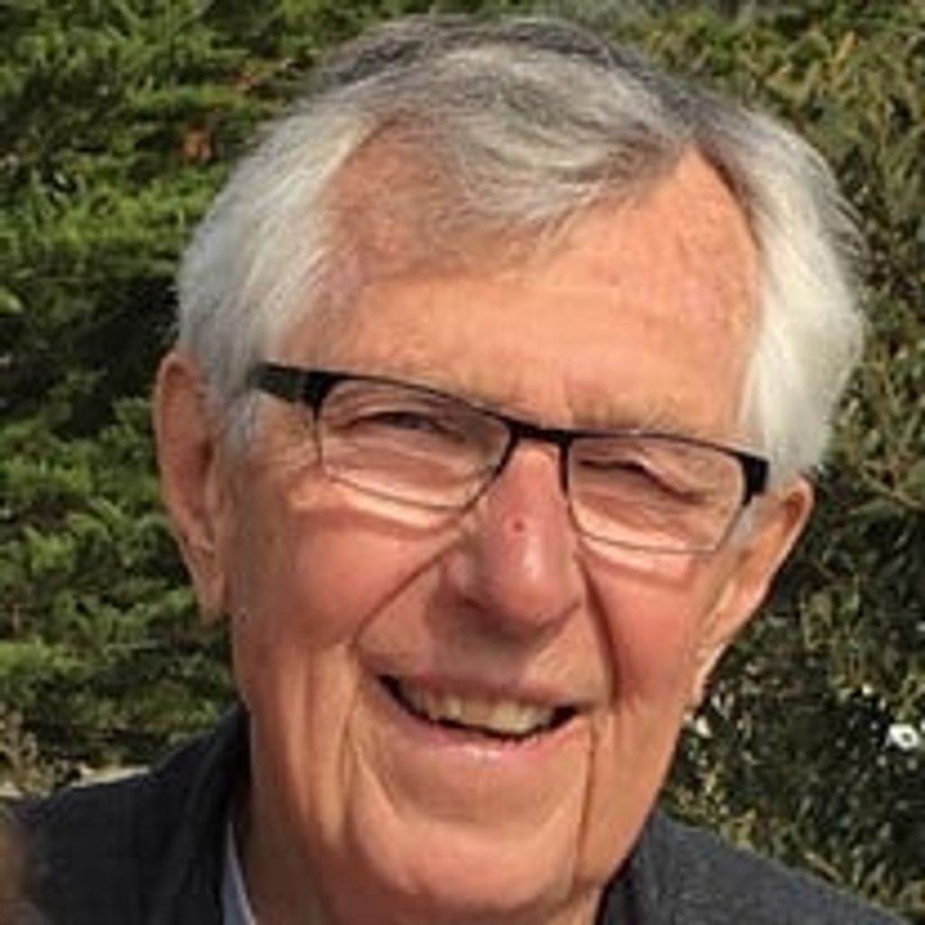 James "Jim" Anthony Domin