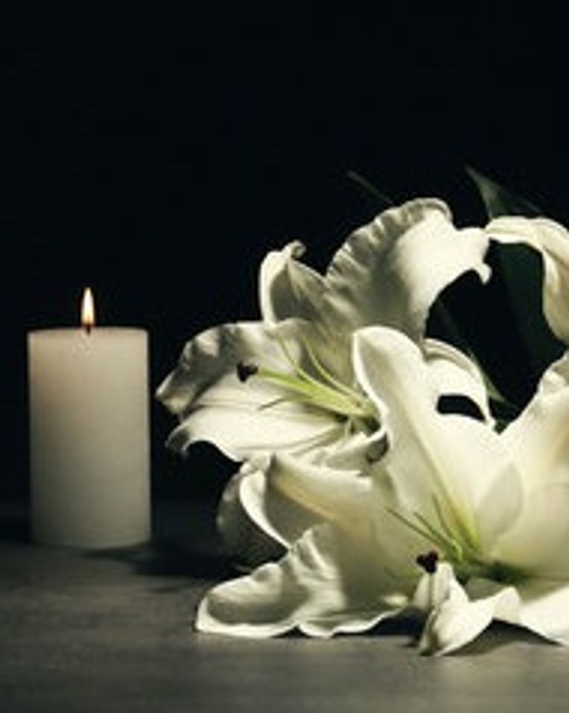 Lily Amis