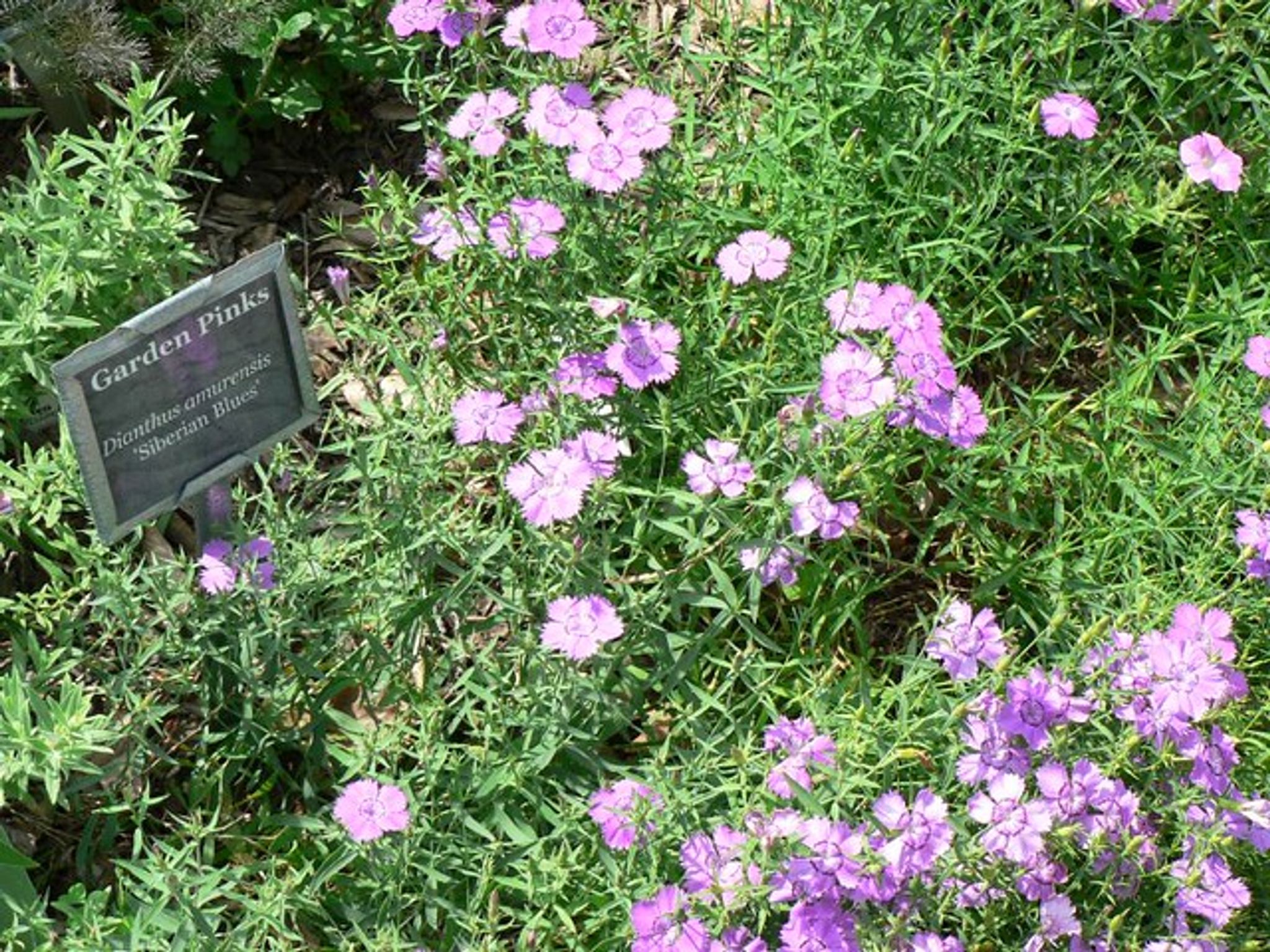 Cover photo for Martin Davis's Obituary
