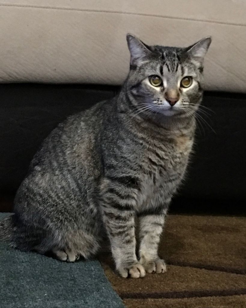 Cinco Woodruff Profile Photo