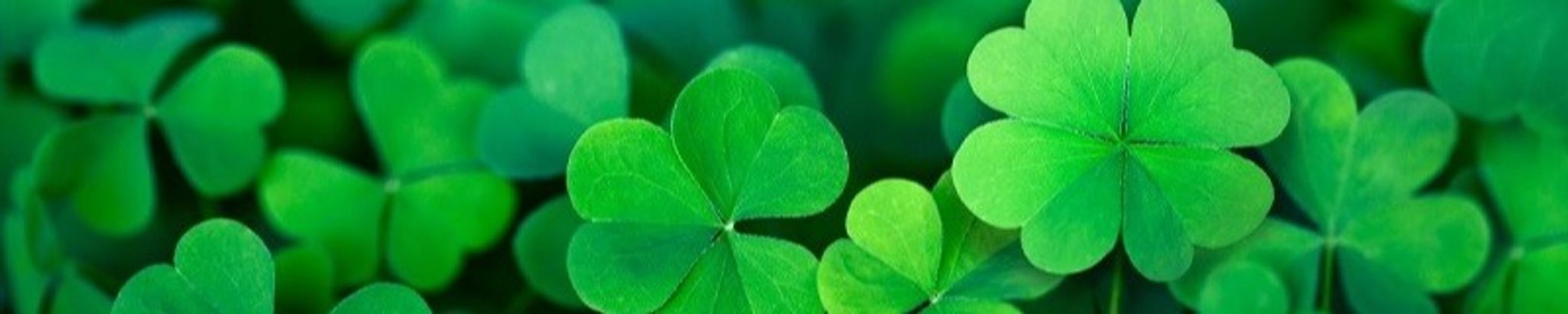 Cover for John J. McKelvey's Obituary