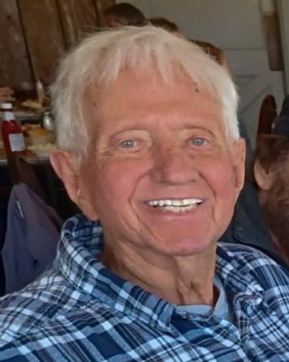 David L. Buri's obituary image