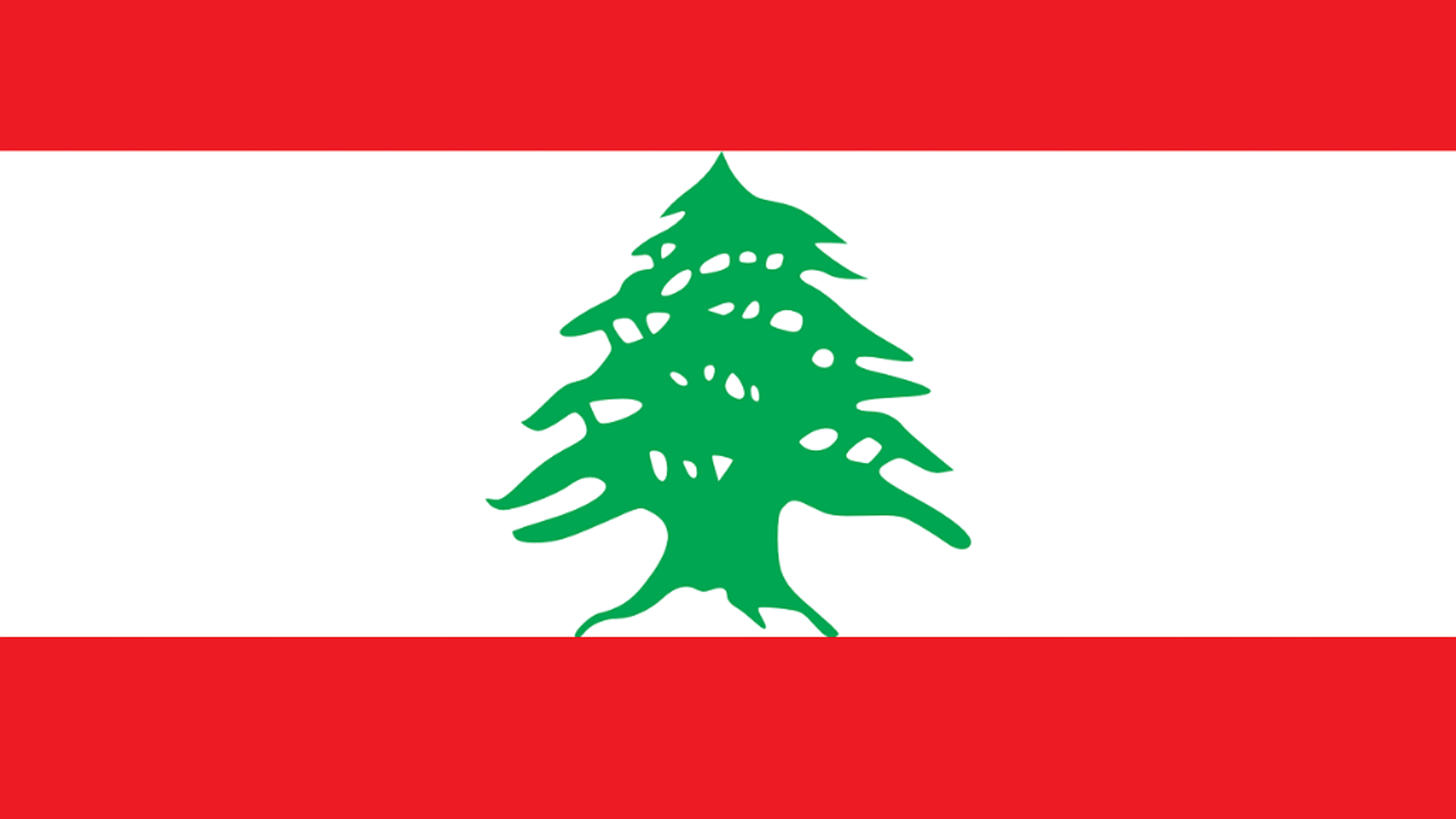 Cover photo for Amin Aramouni's Obituary