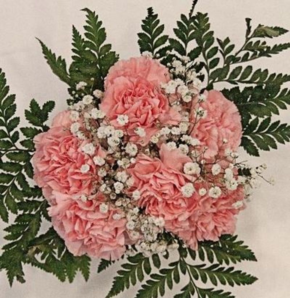 Yvonne C. Marcolongo