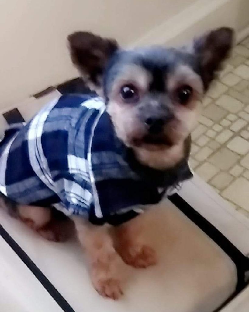 Osito Profile Photo