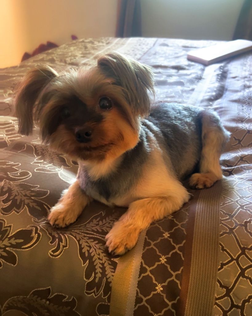 Bub Profile Photo