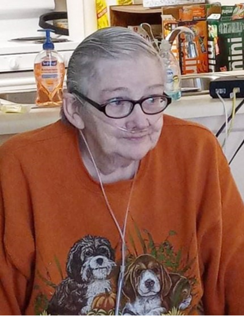 Donna J. (Smith) Farber Profile Photo
