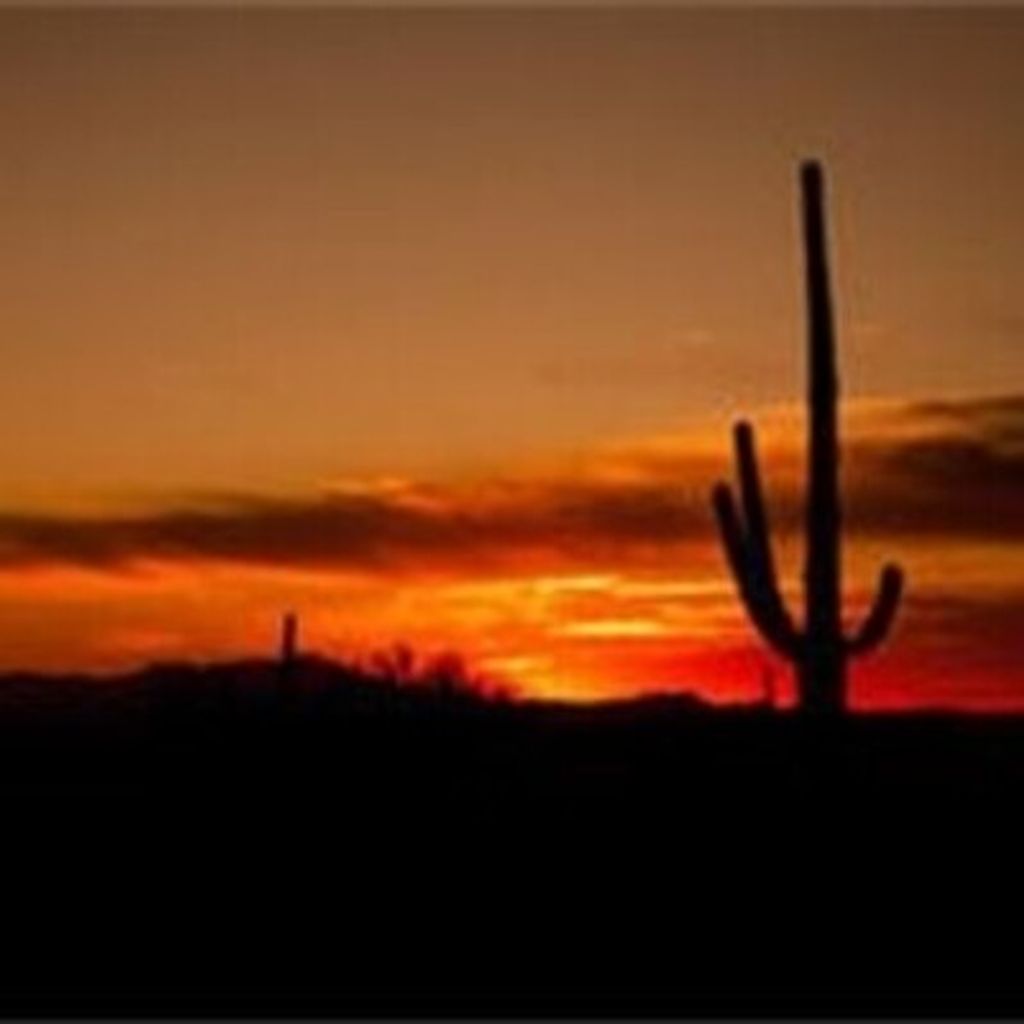 Eleanor Theresa Domanski