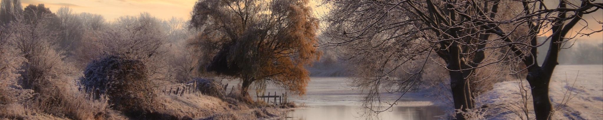 Cover for Donald Wayne Brown's Obituary