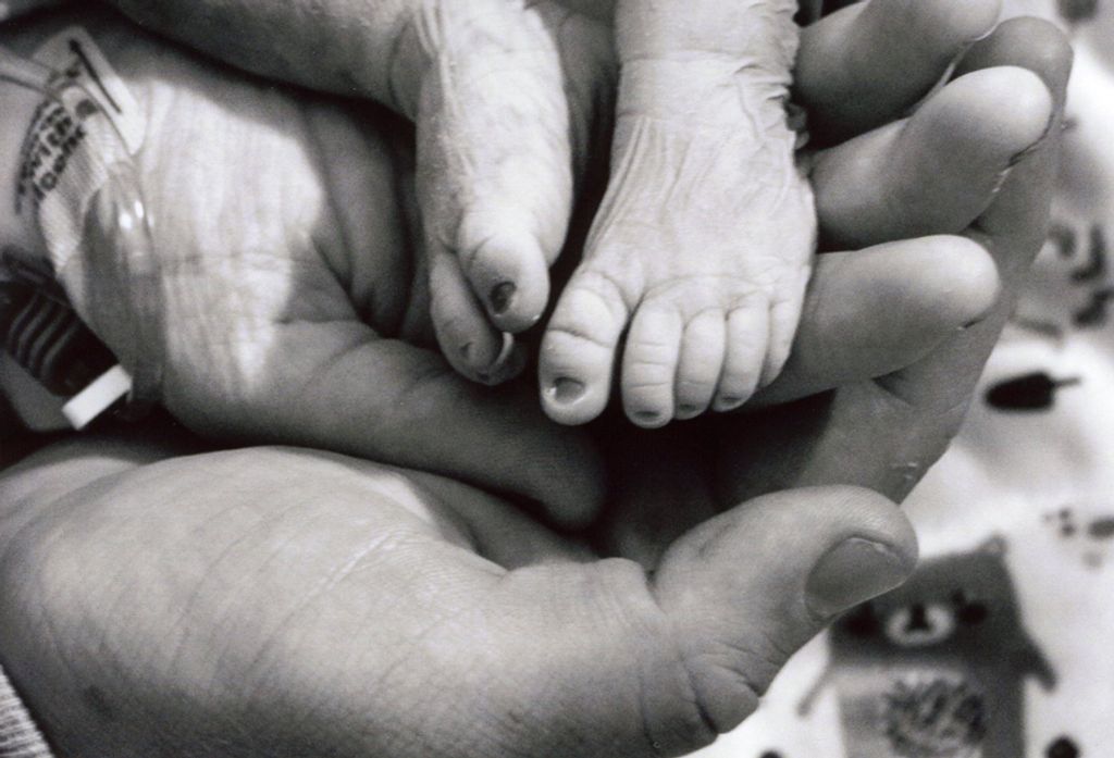 Asher Michael Fullmer