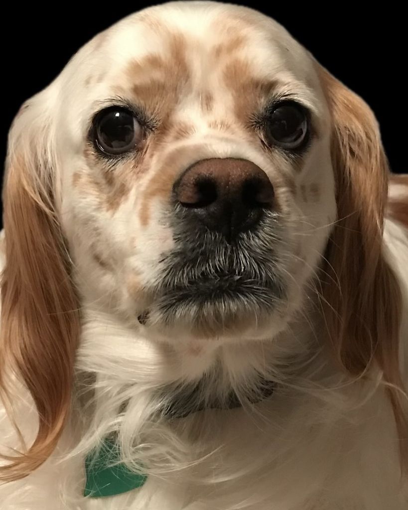 Augustus “Gus” Deal