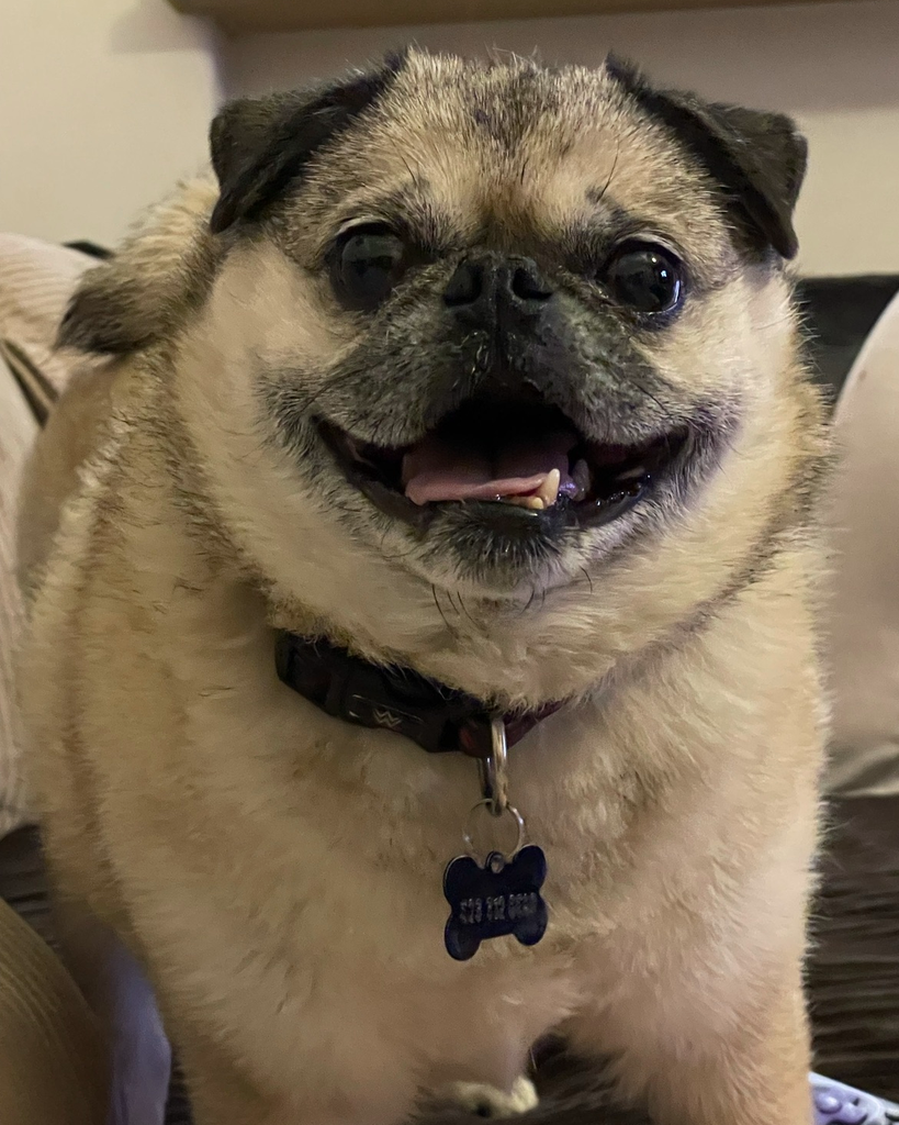 Chuy Digby Profile Photo