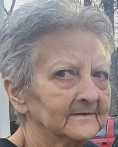 Vickie Y. Warner's obituary image