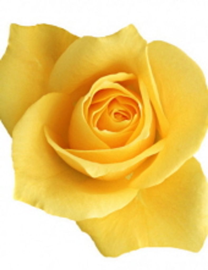 Arlene M. (Miller) Forry