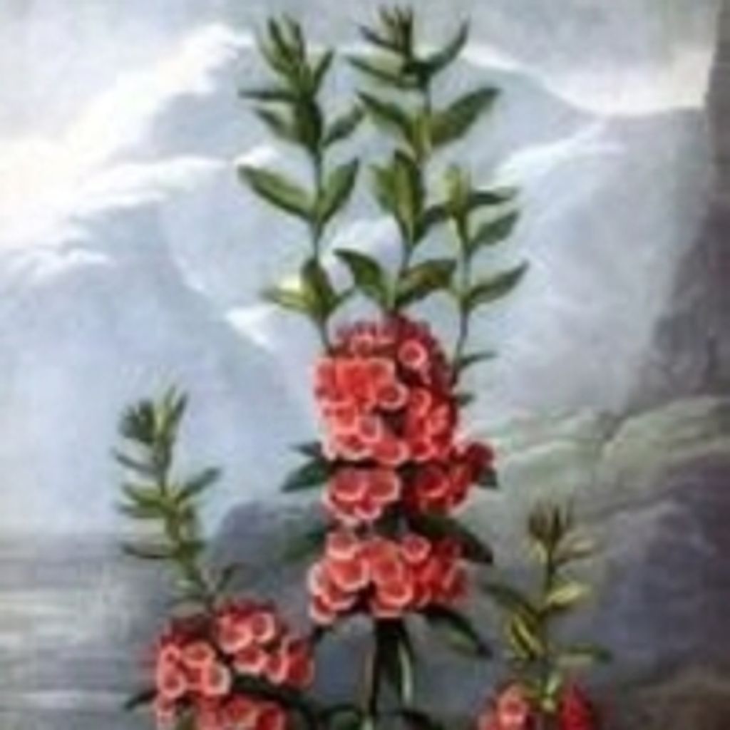 Lhyia L. Aldridge