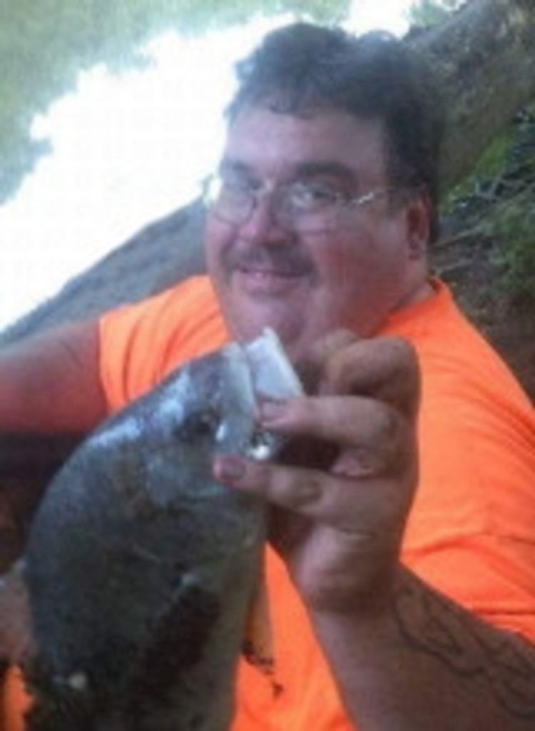 David K Stinnett