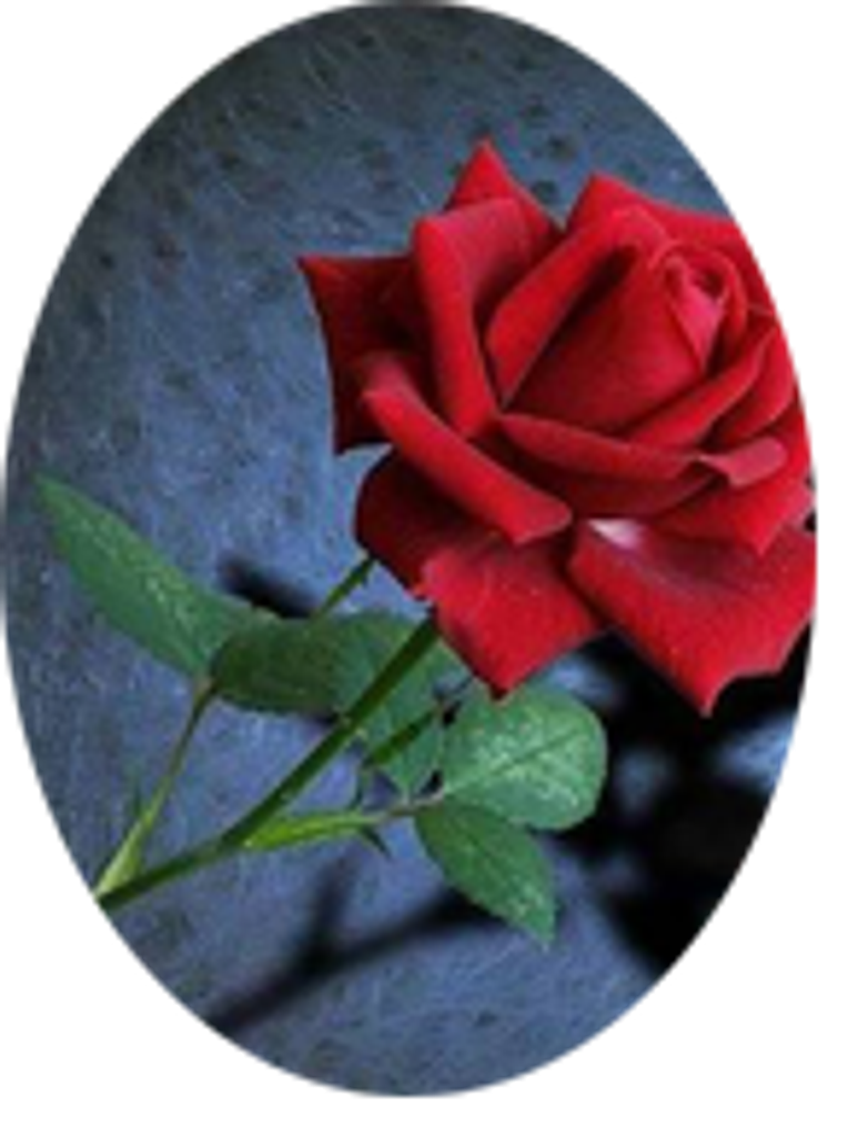 Katheline Wicheranko