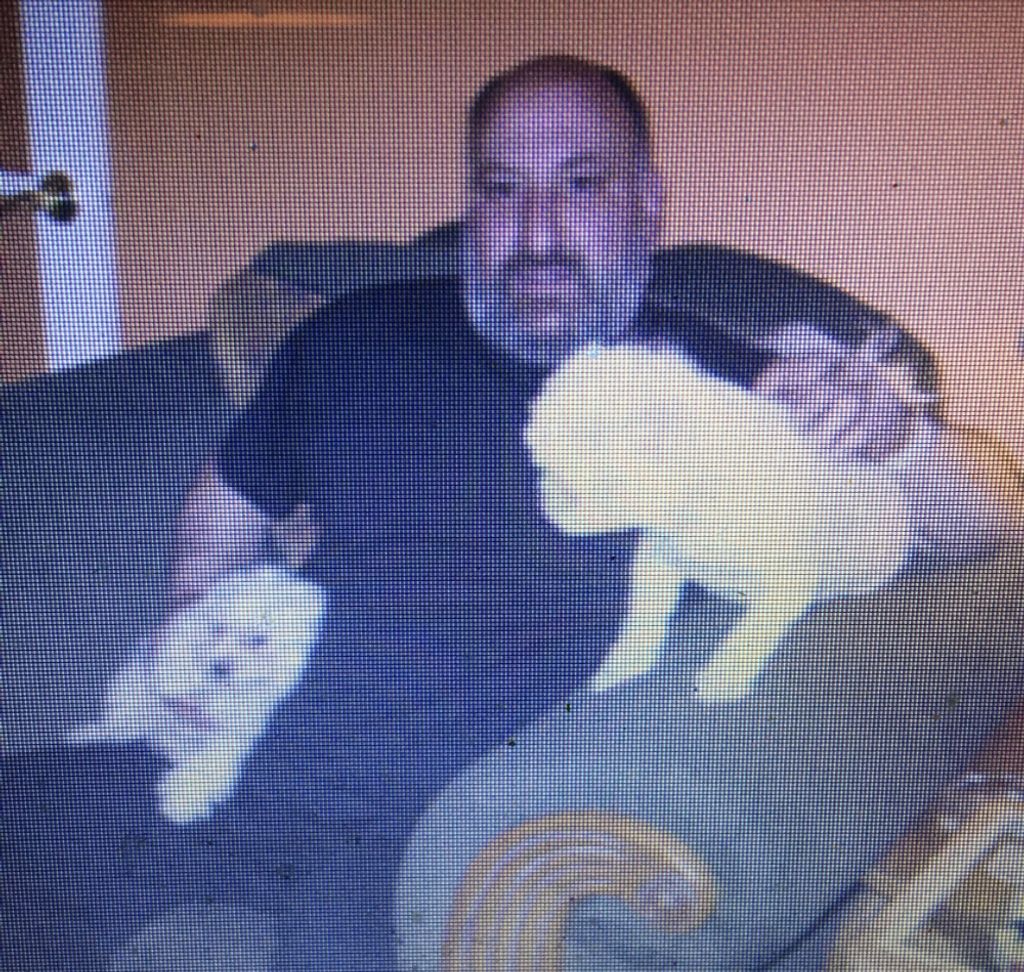 Dominick Neri Jr. Profile Photo