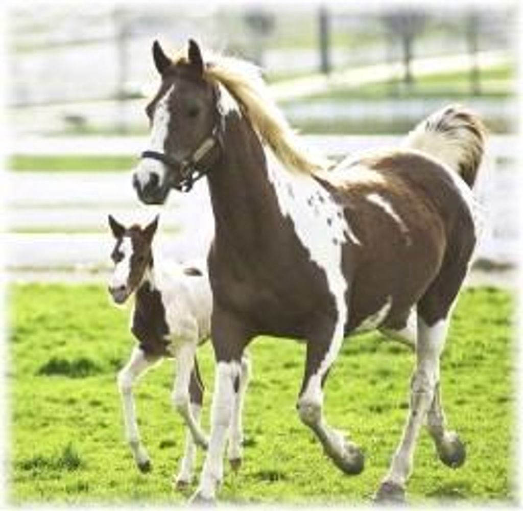 Norma Lee Fleming Profile Photo