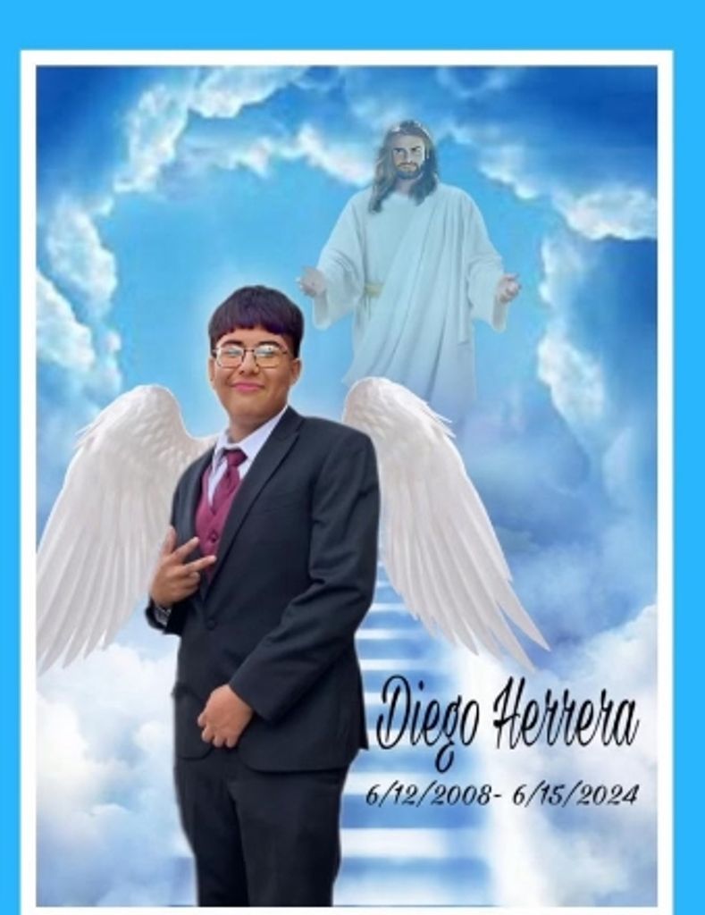 Diego F. Herrera Mejia