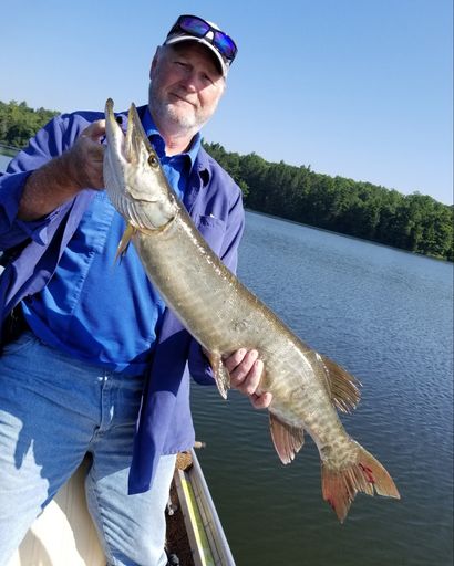 Donald W. Damske Profile Photo