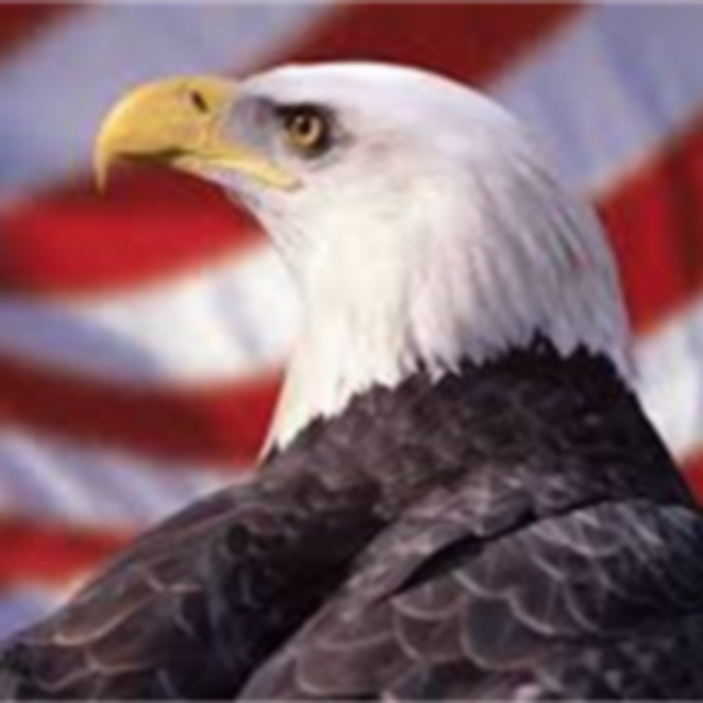 Robert Lewis Borland