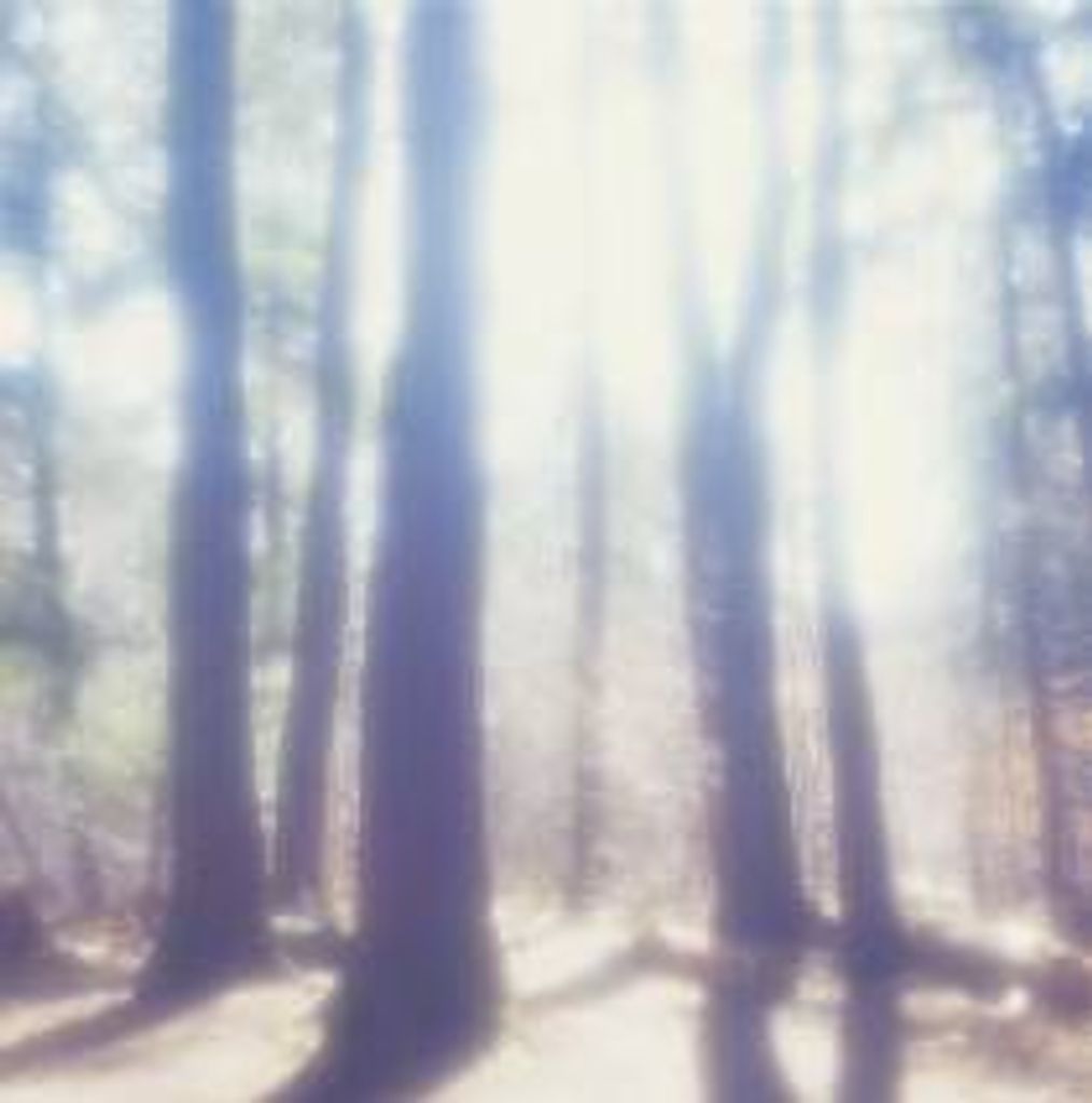 James Wesley Haritage