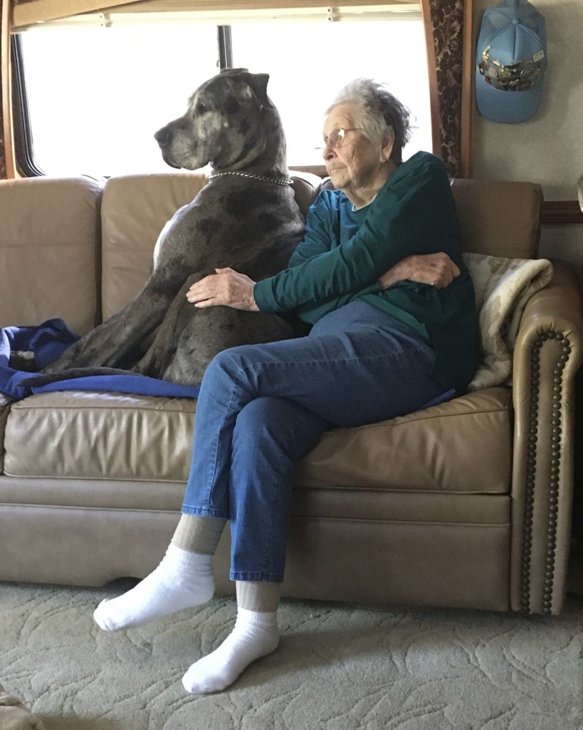 Virginia Louise Owsiany Profile Photo