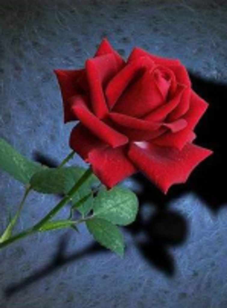 Cyril "John" Harrison