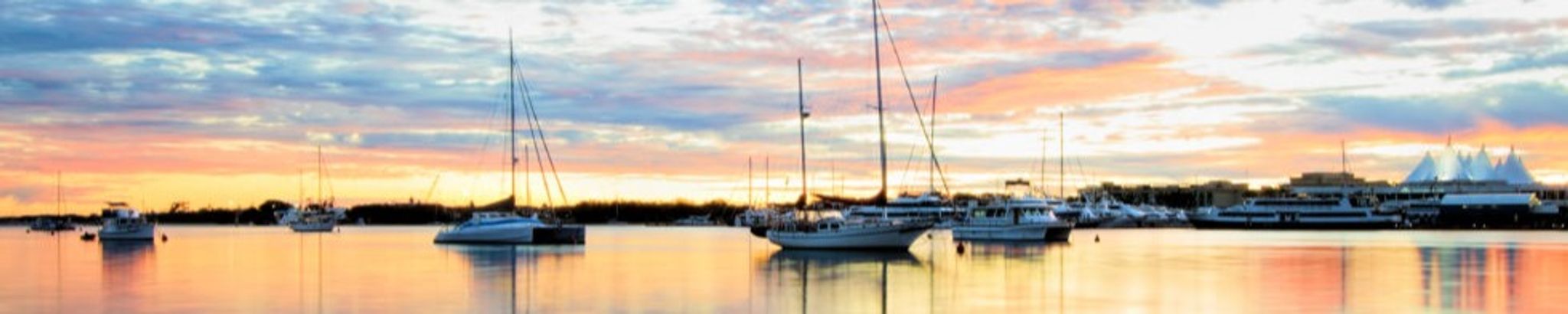 Cover for Shelley M. Lagally's Obituary