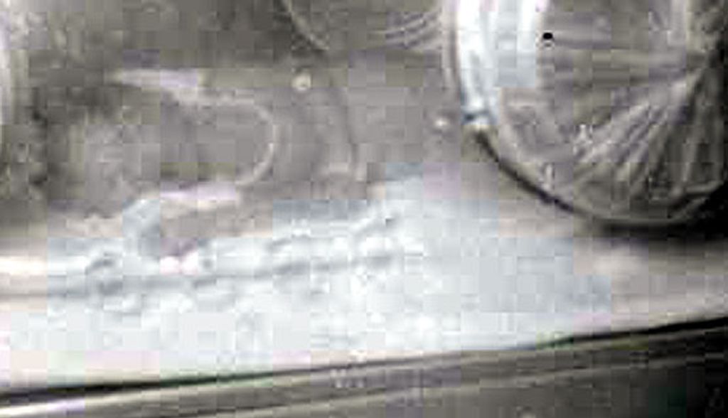 James Harvey Clayton