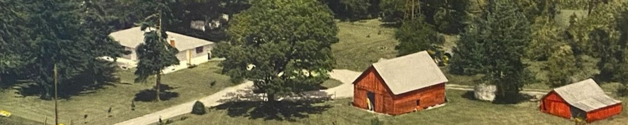 Cover photo for Michael Fancolly's Obituary