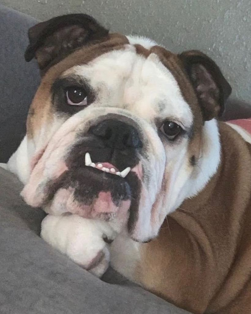 Zeus Profile Photo