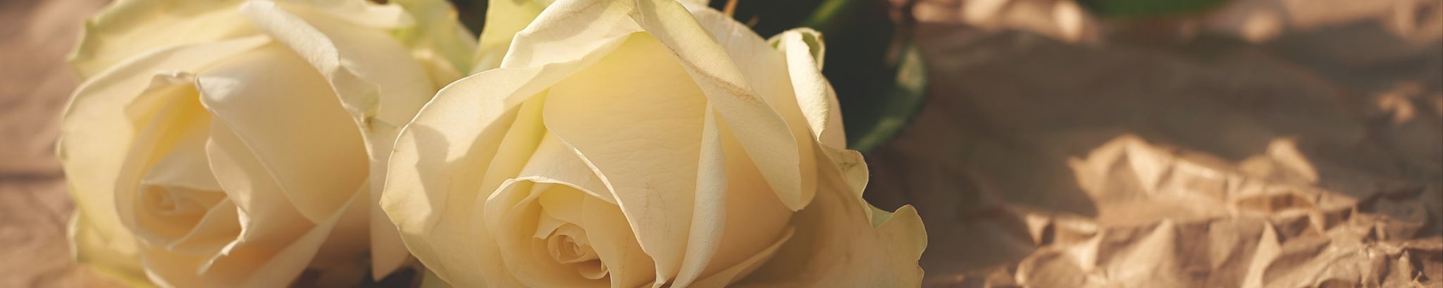 Cover photo for Lucille Fannin's Obituary