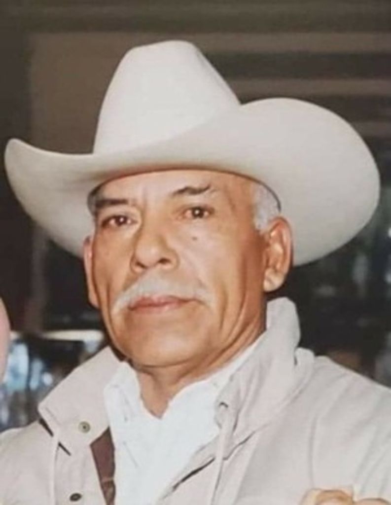 Felipe Navarro Gutierrez