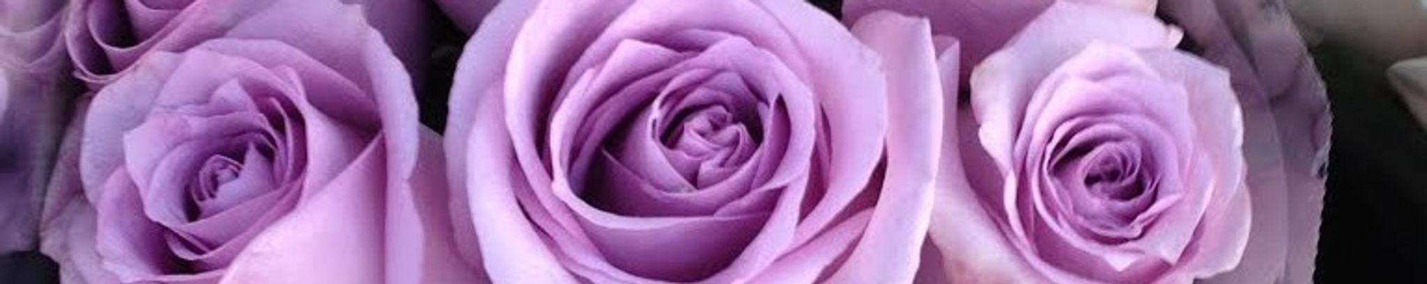 Cover photo for Sherry Lou Judd's Obituary