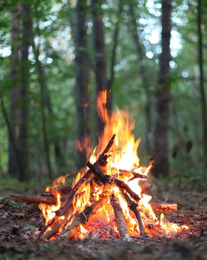Anne Lois Thompson's obituary image