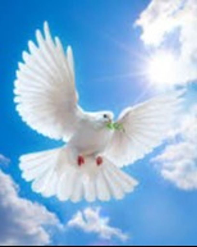 Patricia Barrett White