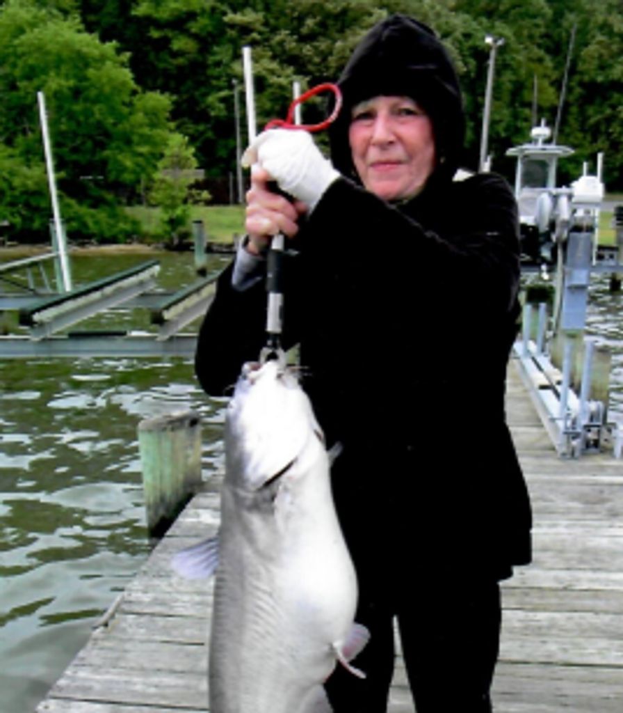 Carolyn A. Vansant Profile Photo
