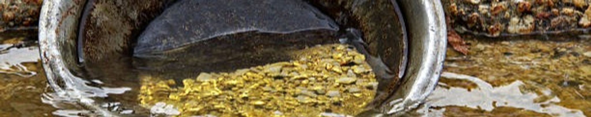 Cover for Eric L. Colbeck's Obituary