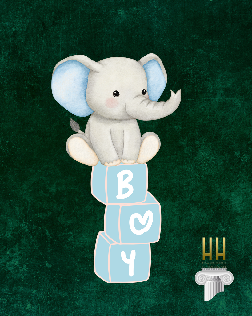 Babyboy Mills Profile Photo