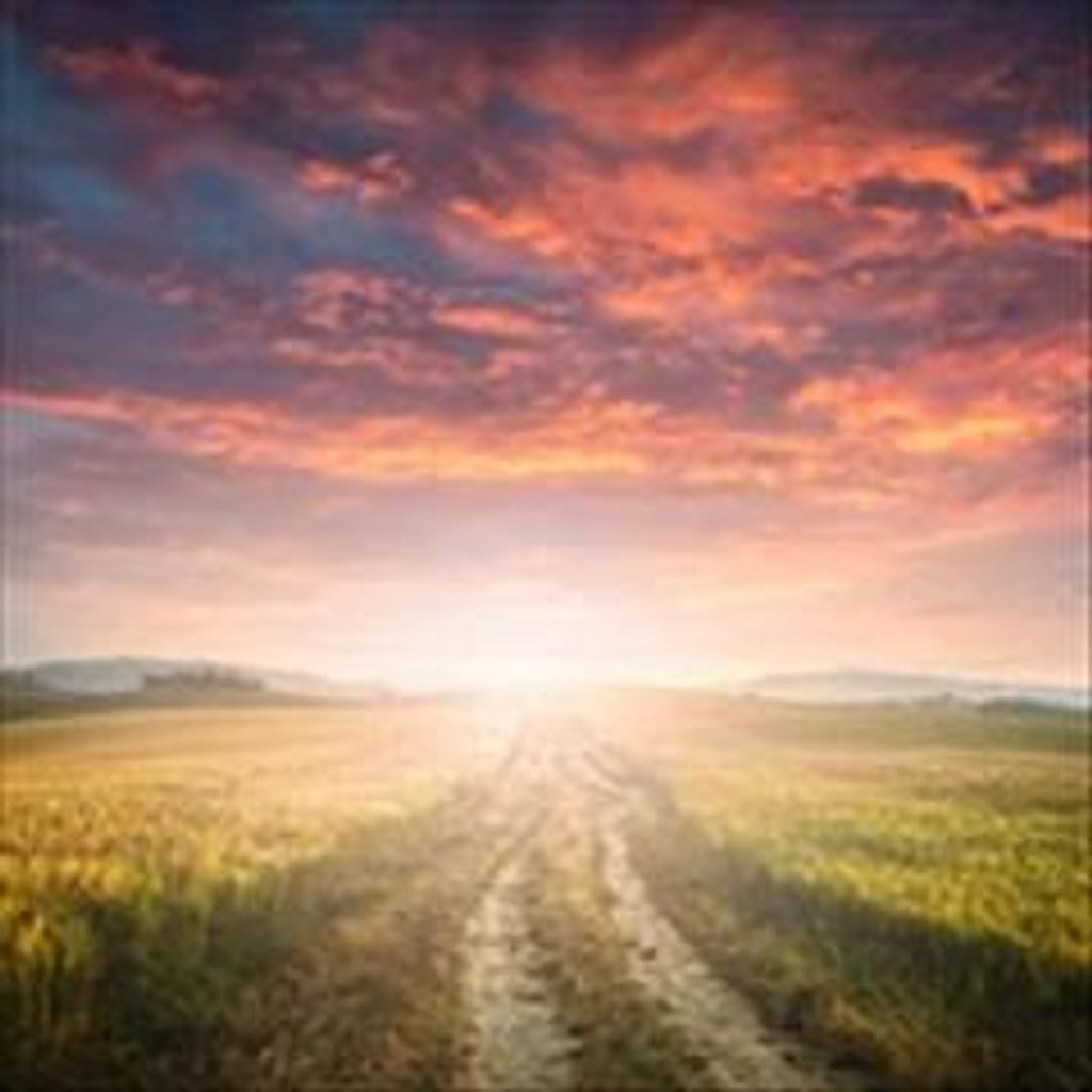 Lucile "Lucy" Culley