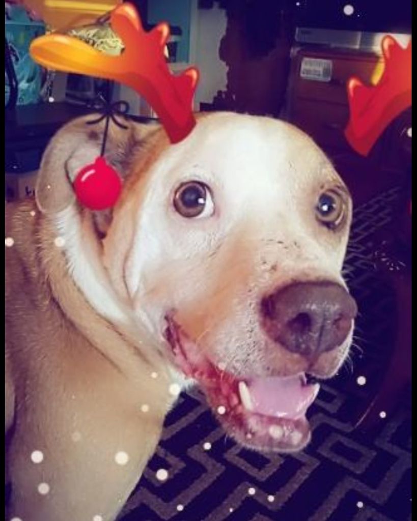 Talon "Papaw T" Edgar Davis