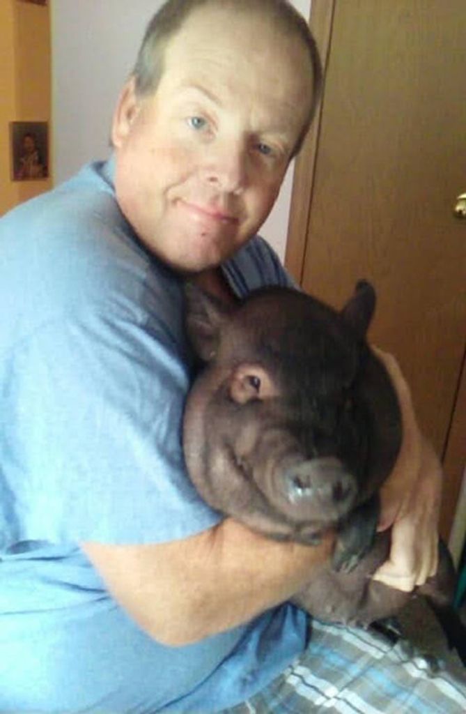 Dennis W. Mort Profile Photo